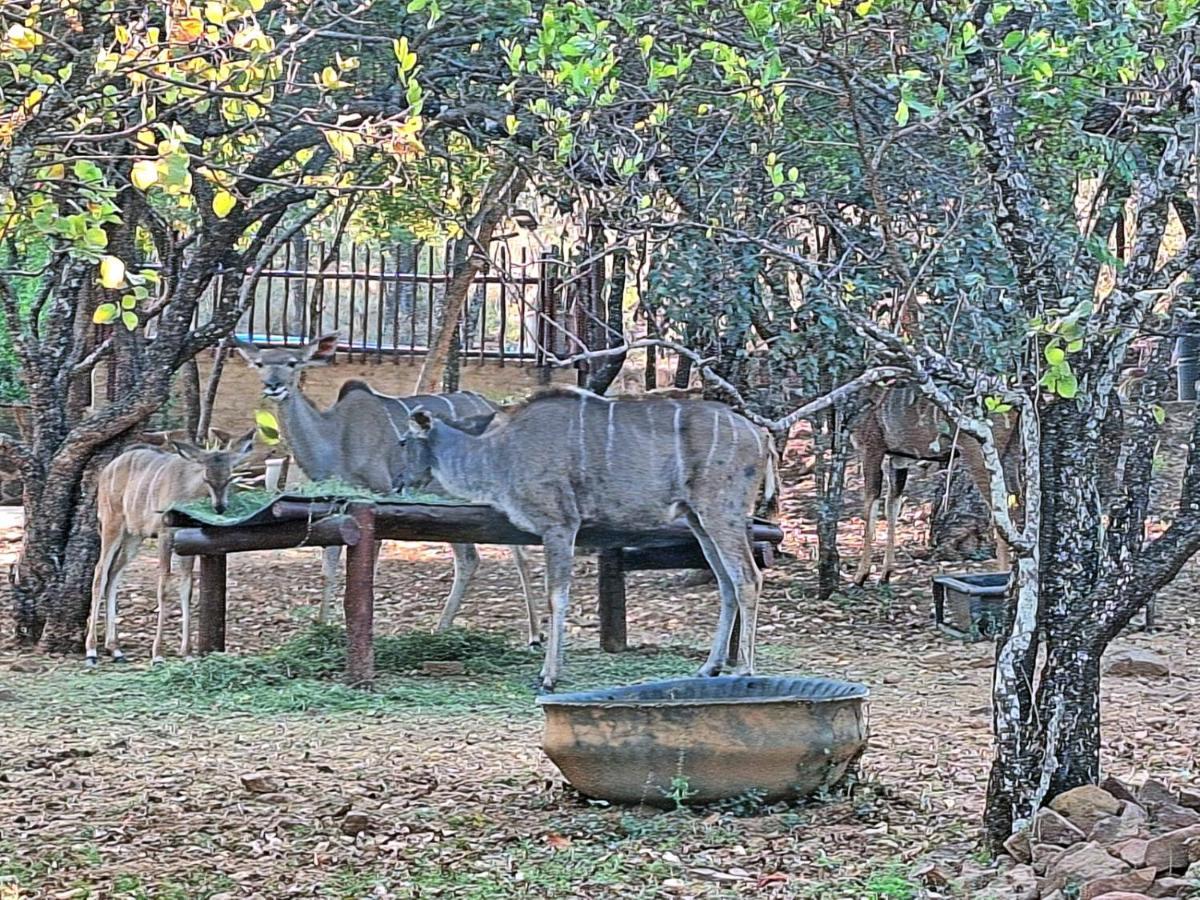 Loskop Serene Bush Cabin Winterkamp Zewnętrze zdjęcie