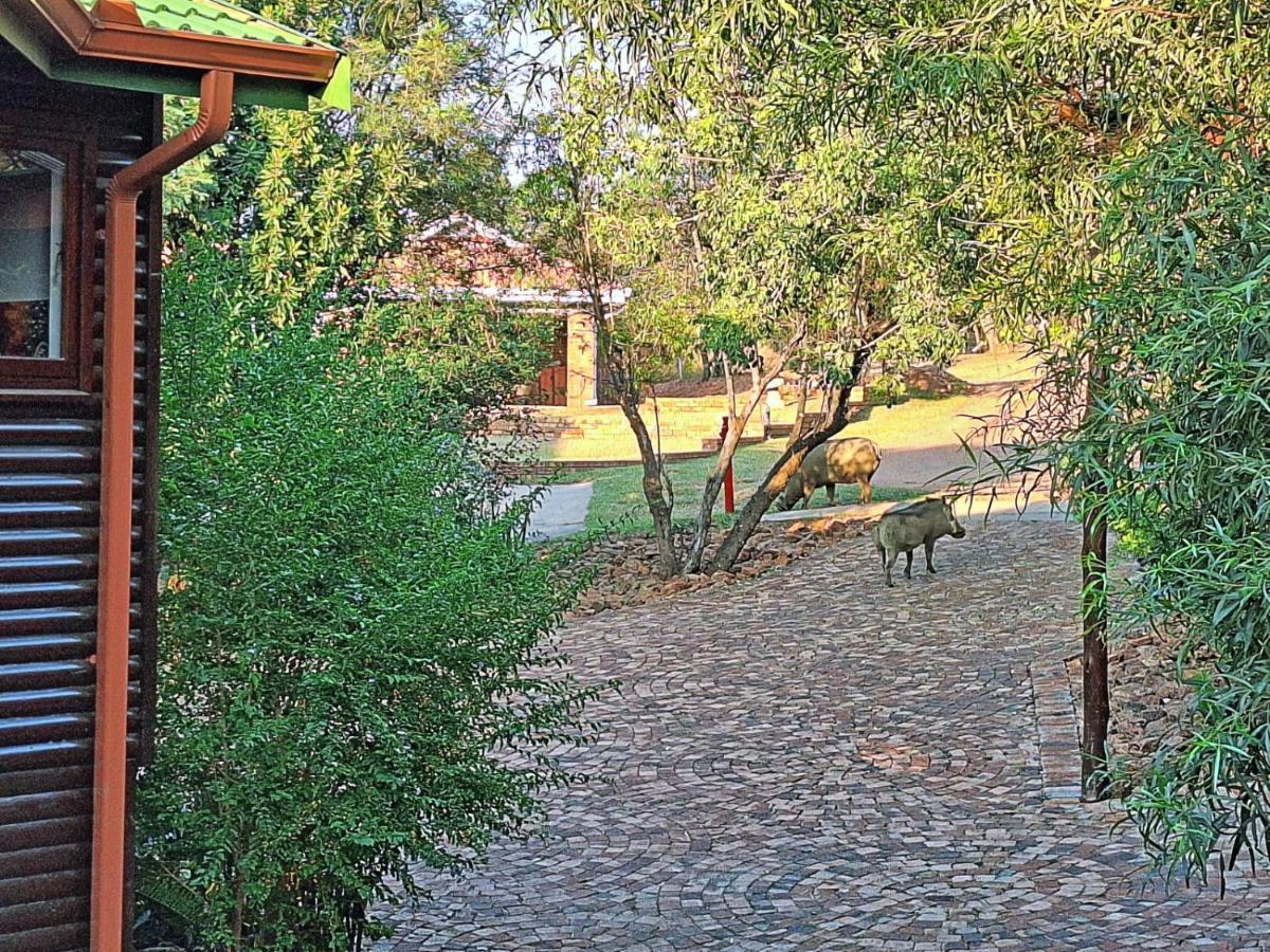 Loskop Serene Bush Cabin Winterkamp Zewnętrze zdjęcie
